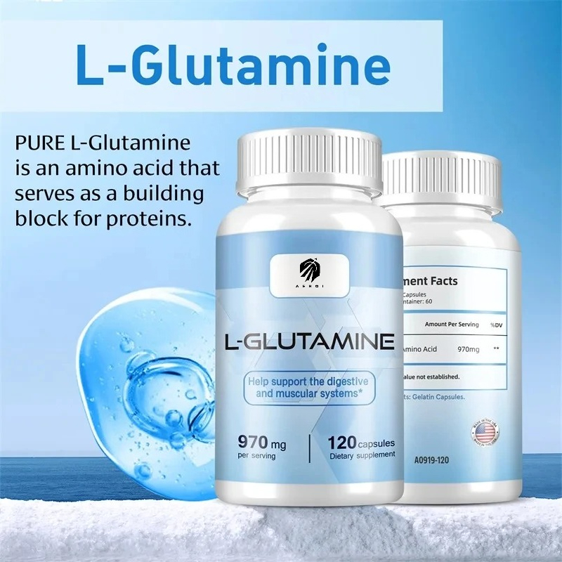 Nutrition Fitness Supplements - L-グルタミンサプリメント、ワークアウト後の筋肉回復、脳機能改善、スポーツ栄養、フィットネスサポートに