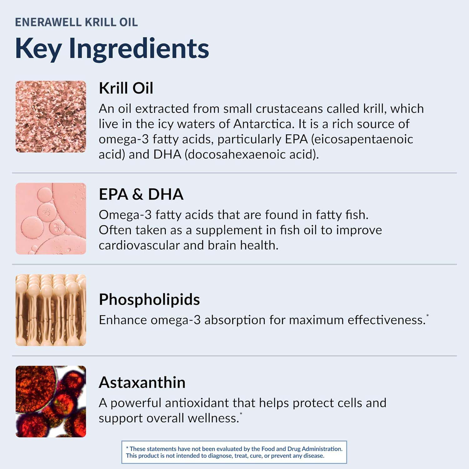 南極クリルオイル 1000mg カプセル |   3倍の強度 - Krill Oil Supplement のレビューと価格